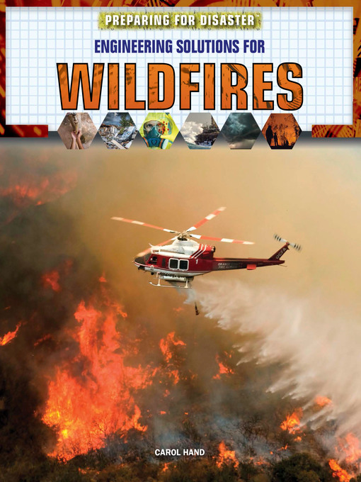 Cover of Engineering Solutions for Wildfires